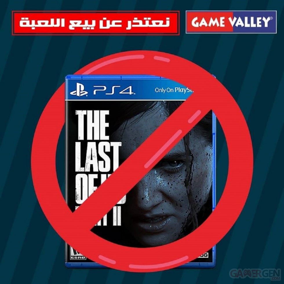The Last of Us Part II Egypte Game Valley