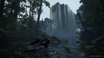 The Last of Us Part II Images (7)