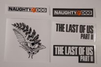 The Last of Us Part II TLOU2 Collector Unboxing (17)