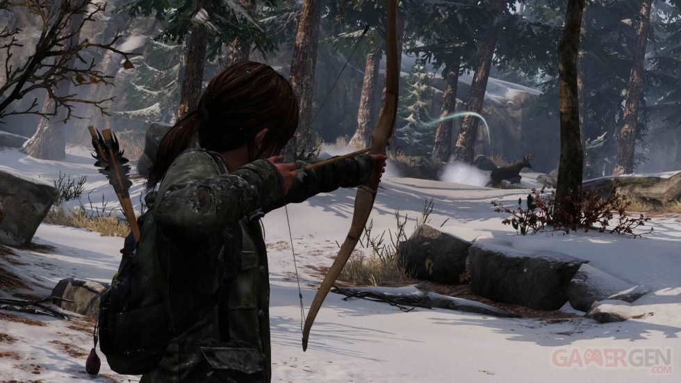 The-Last-of-Us-Remastered_28-07-2014_screenshot-2