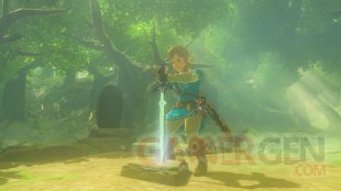 The Legend of Zelda Breath of The Wild 13 06 2017 Les Épreuves Légendaires screenshot (3)