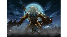 The-Legend-of-Zelda-Breath-of-The-Wild_13-06-2017_Les-Épreuves-Légendaires_art