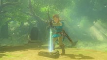 The-Legend-of-Zelda-Breath-of-The-Wild_13-06-2017_Les-Épreuves-Légendaires_screenshot (3)