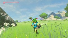 The-Legend-of-Zelda-Breath-of-The-Wild_13-06-2017_Les-Épreuves-Légendaires_screenshot (9)