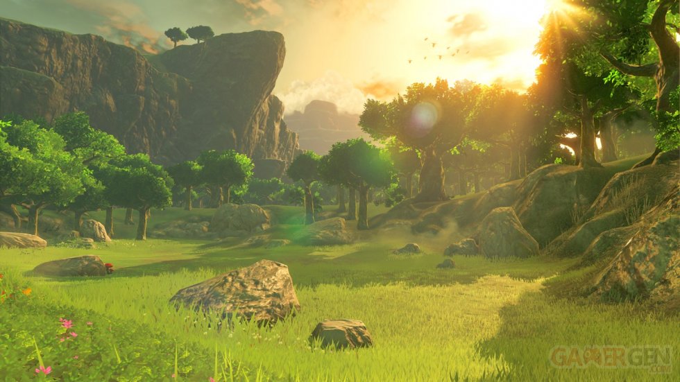 The Legend of Zelda Breath of the Wild images (10)