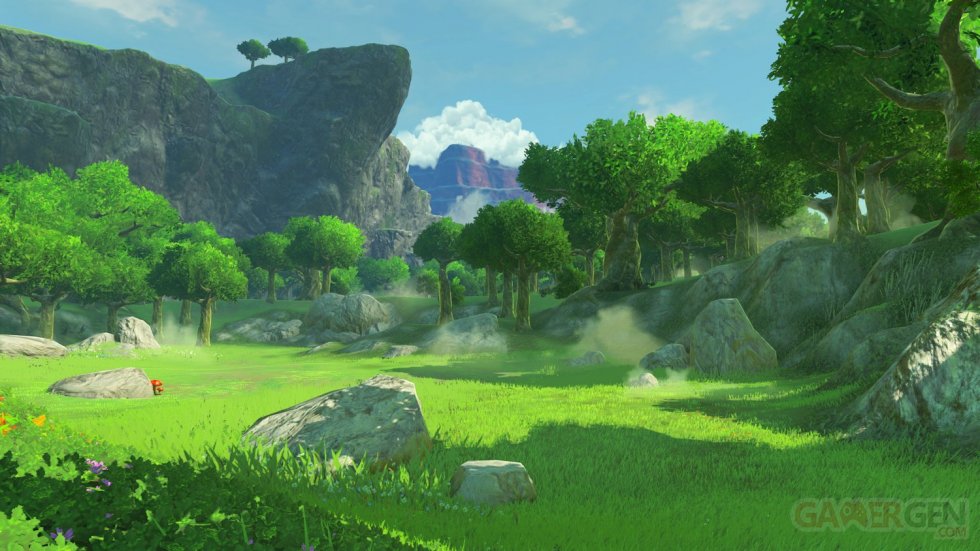 The Legend of Zelda Breath of the Wild images (11)