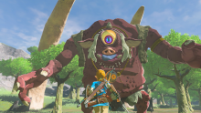 The Legend of Zelda Breath of the Wild images (12)