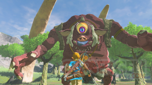 The Legend of Zelda Breath of the Wild images (12)