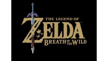 The Legend of Zelda Breath of the Wild images (1)