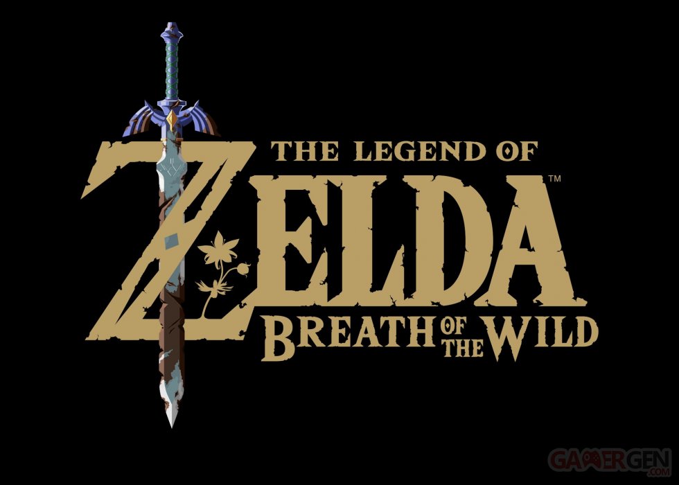 The Legend of Zelda Breath of the Wild images (1)