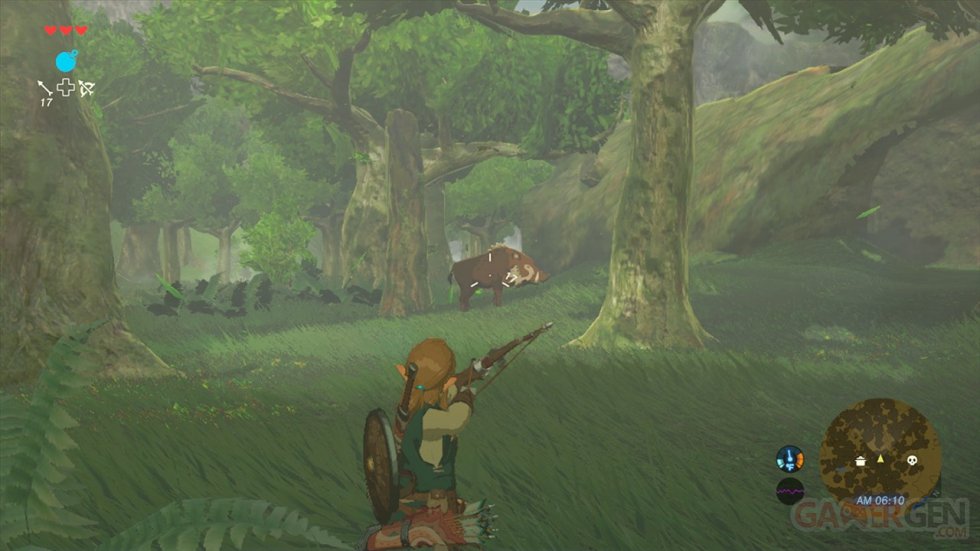 The Legend of Zelda Breath of the Wild images (26)