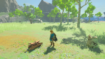 The Legend of Zelda Breath of the Wild images (2)