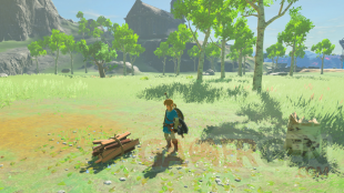 The Legend of Zelda Breath of the Wild images (2)