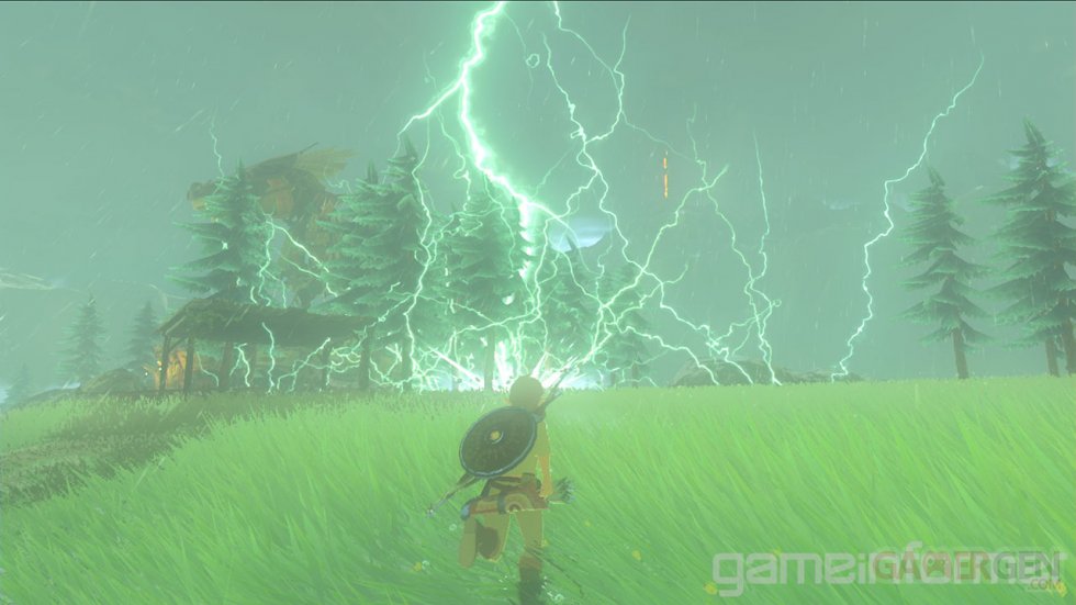 The Legend of Zelda breath of the Wild images (3)