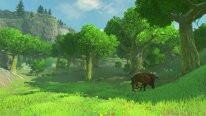 The Legend of Zelda Breath of the Wild images (6)
