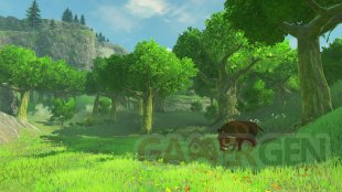 The Legend of Zelda Breath of the Wild images (6)