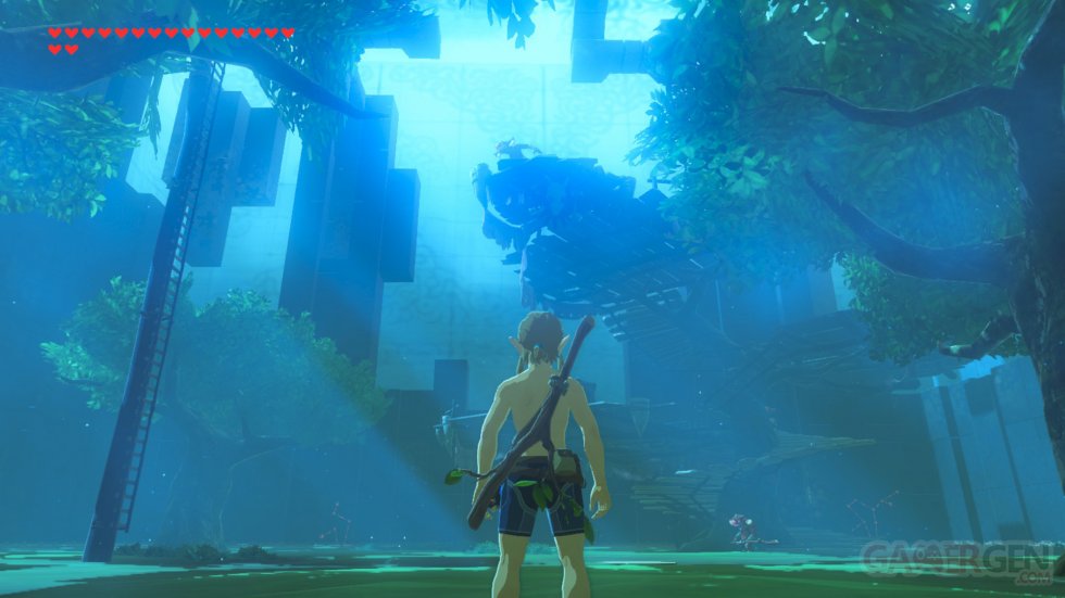 The Legend of Zelda Breath of The Wild images DLC (7)