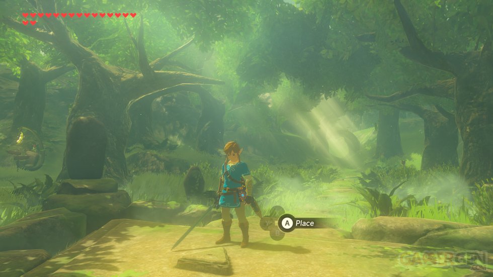 The Legend of Zelda Breath of The Wild images DLC (9)