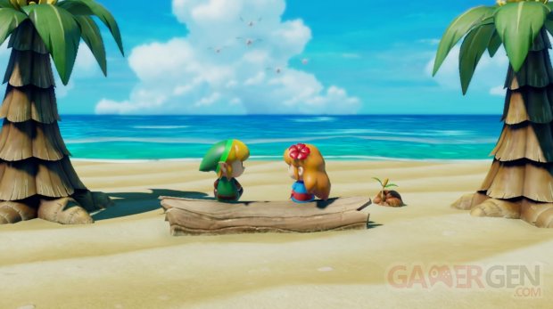 The Legend of Zelda Link's Awakening   La Ballade du Poisson Rêve (Nintendo Switch)