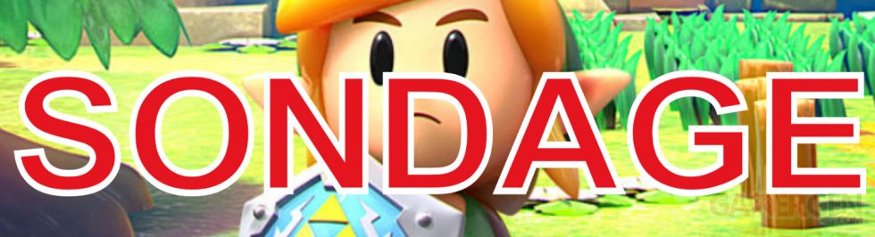 The Legend of Zelda Link's Awakening Sondage de la semaine image (4)