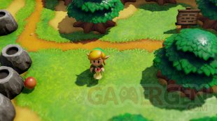 The Legend of Zelda Links Awakening 2019 06 11 19 004