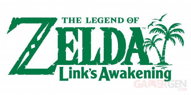 The Legend of Zelda Links Awakening 2019 06 11 19 039