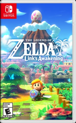 The Legend of Zelda Links Awakening 2019 06 11 19 040