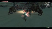 The Legend of Zelda Twilight Princess HD  (14)