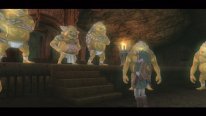 The Legend of Zelda Twilight Princess HD  (19)