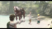 The Legend of Zelda Twilight Princess HD  (31)