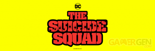 The Suicide Squad logo banner
