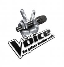 The Voice Logo