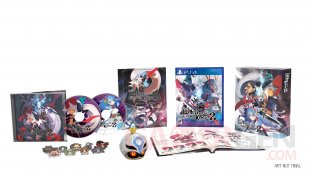 The Witch and the Hundred Knight 2 collector 02 19 01 2018
