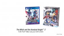 The-Witch-and-the-Hundred-Knight-2-collector-04-19-01-2018