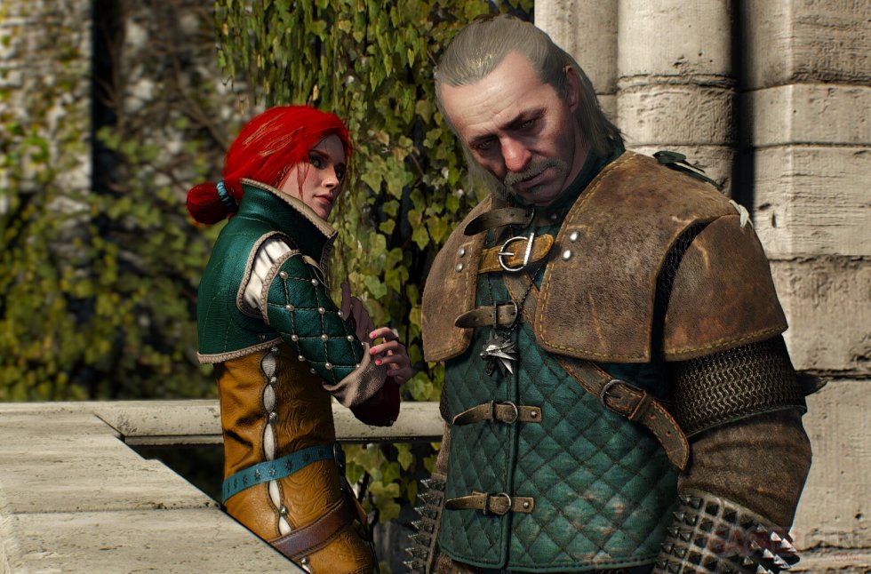 The Witcher 3 mod 2