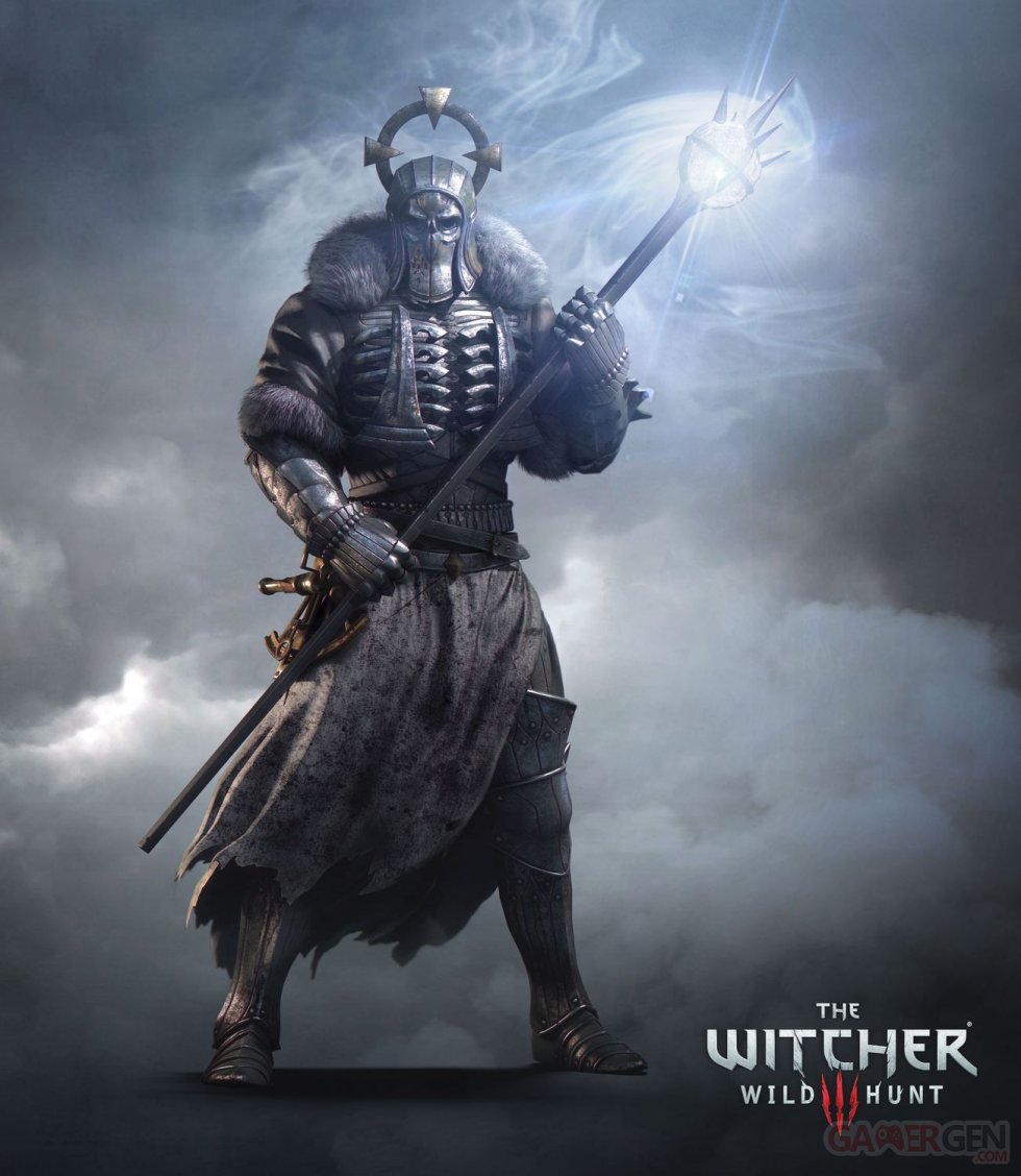 The Witcher 3  Traque Sauvage 13.08.2014  (14)