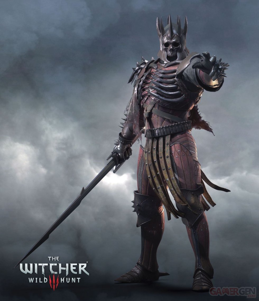 The Witcher 3  Traque Sauvage 13.08.2014  (16)