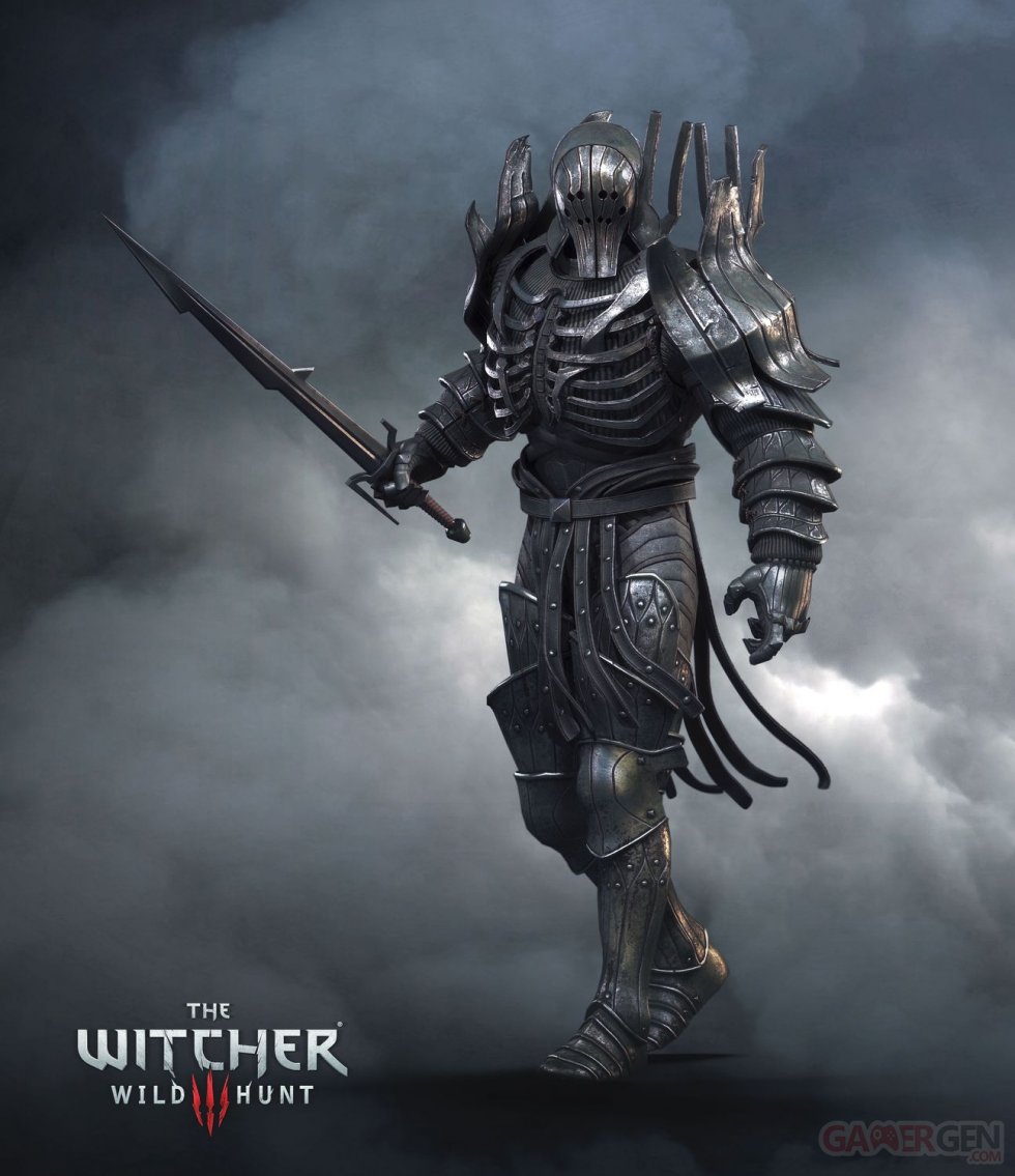 The Witcher 3  Traque Sauvage 13.08.2014  (18)