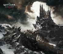 The Witcher 3  Traque Sauvage 13.08.2014  (8)
