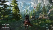 The Witcher 3 Wild Hunt 11 06 2019 screenshot Switch (1)