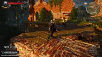 The Witcher 3 Wild Hunt 11 06 2019 screenshot Switch (6)