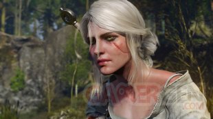 The Witcher 3 Wild Hunt 16.12.2014  (2)