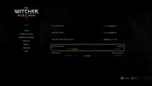 The-Witcher-3-Wild-Hunt_18-07-2015_1-07-patch-9