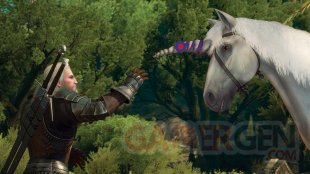 The Witcher 3 Wild Hunt Blood and Wine image screenshot 6