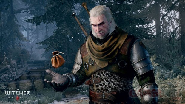 The Witcher 3 Wild Hunt complete edition switch image