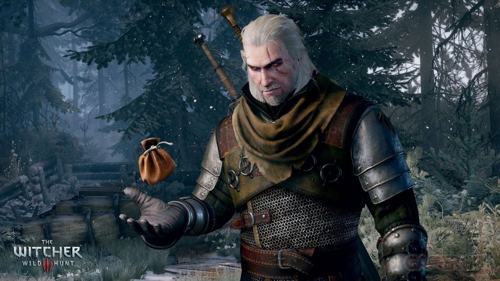 The Witcher 3 Wild Hunt complete edition switch image