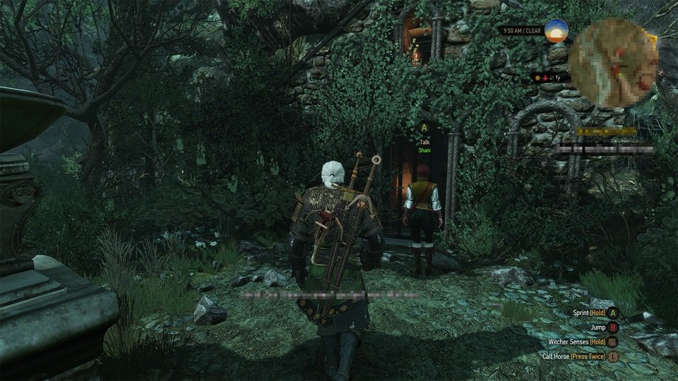 The Witcher 3 Wild Hunt image screenshot 10