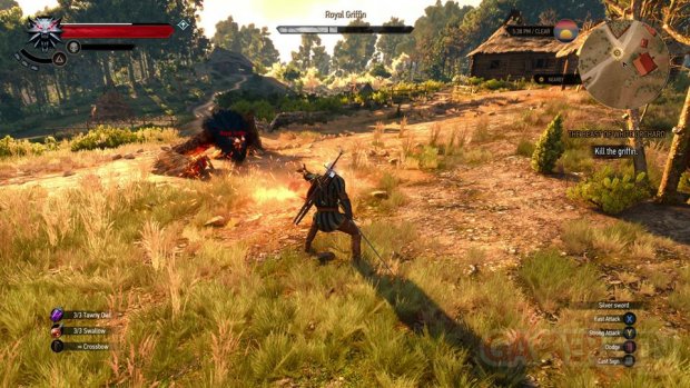 The Witcher 3 Wild Hunt image screenshot 2