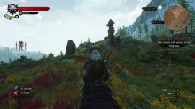 The Witcher 3 Wild Hunt image screenshot 3