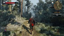 The Witcher 3 Wild Hunt image screenshot 3